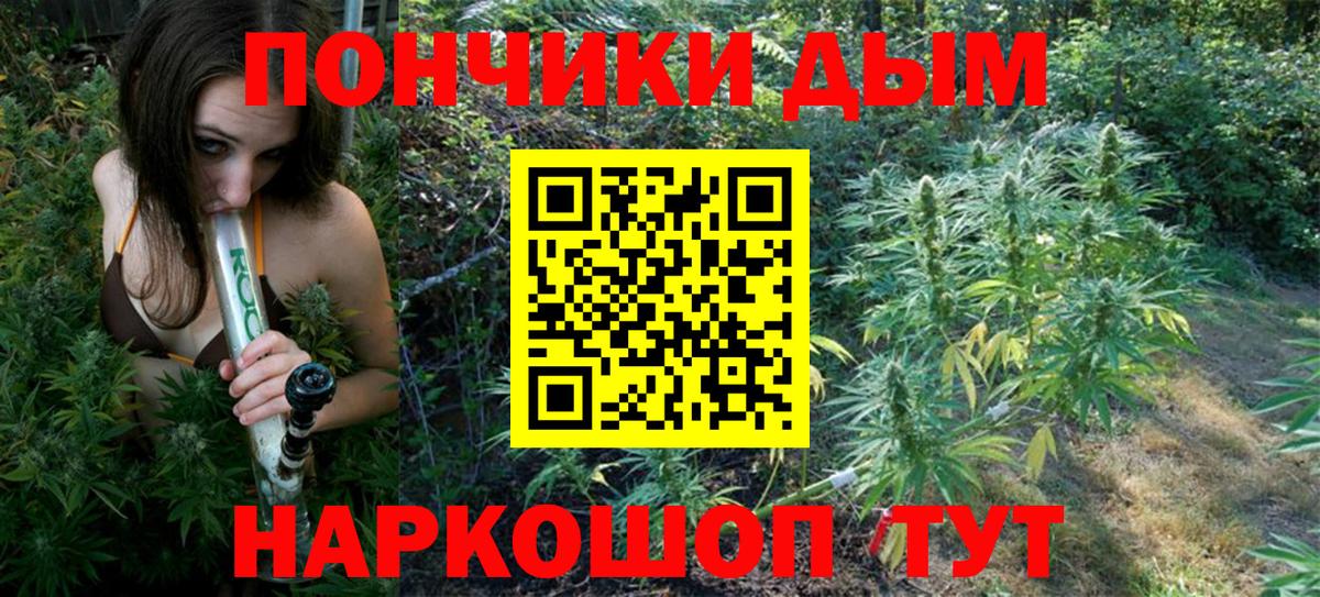 Бошки марихуана Bruce Banner  МАРИХУАНА конопля  Грязи  Канабис MAZAR  Конопля сатива  Вход с VPN 